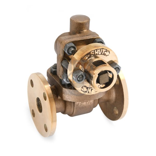 Bronze Parallel Slide Blow Off Valve