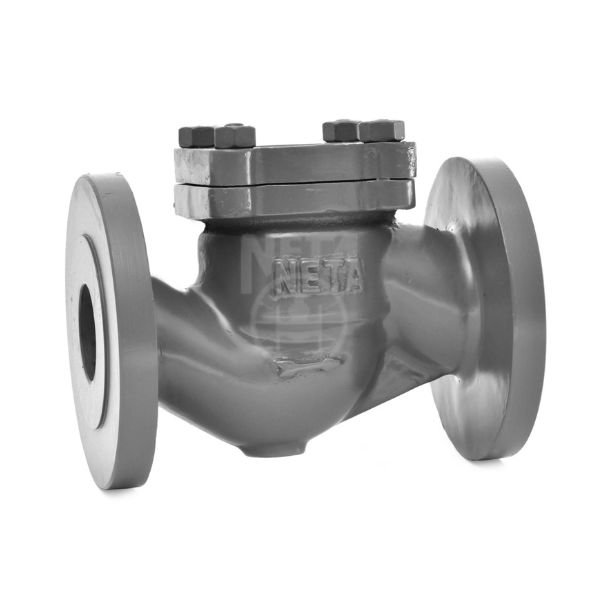 cast-iron-horizontal-lift-check-valve-2 With Bronze Trim