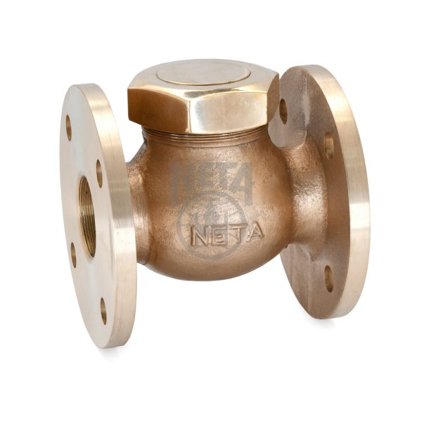 bronze-union-cover-horizontal-lift-check-valve-2 Flanged Ends