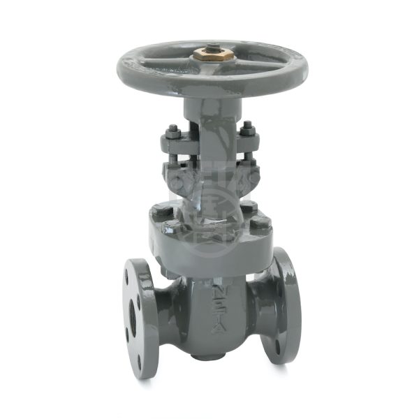 cast-iron-gate-valve S.S. 13% Cr. Trim, Class 125