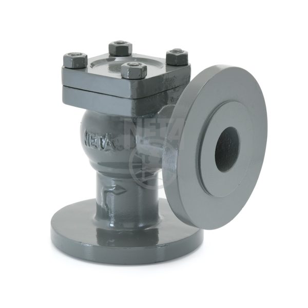 cast-iron-horizontal-lift-check-valve-5 With AISI 304 Trim