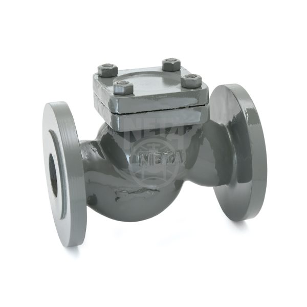 cast-iron-horizontal-lift-check-valve-3 With AISI 304 Trim