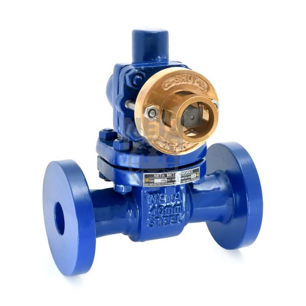 Cast Steel Blow Off Valve